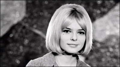 Que dit France Gall à sa mère : "Si, si maman, si, maman si tu voyais ma vie, Je pleure  " ?