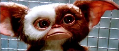 Quel est le nom de ce mogwai dans le film "Gremlins" ?