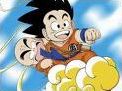 Quiz Dragon ball