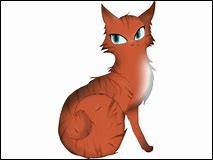 Quiz Erin hunter