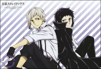 Dans ''Bungo Stray Dogs'', quel est le nom donné au duo Akutagawa/Atsushi ?