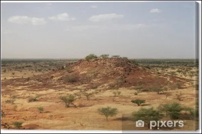 De quoi parle ce poème ?

Au sommet d'une colline, au fin fond de l'Afrique
Il règne sur la plaine au pied d'un beau volcan
Le Kilimandjaro, montagne de son rang
Bleue, belle et sacrée, audacieuse et magique...