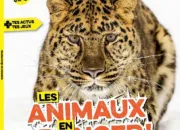 Quiz Les animaux en danger