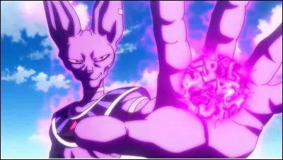 Qui est Beerus ?