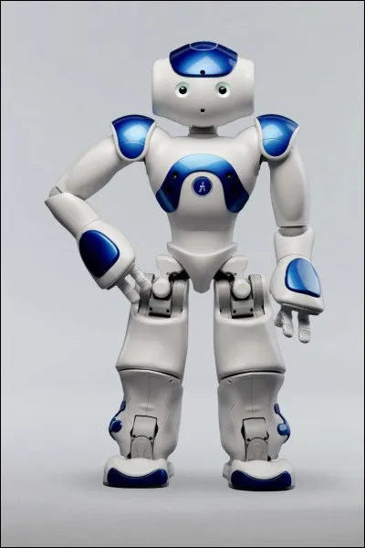 Quelle est la mission du robot Nao V6 ?