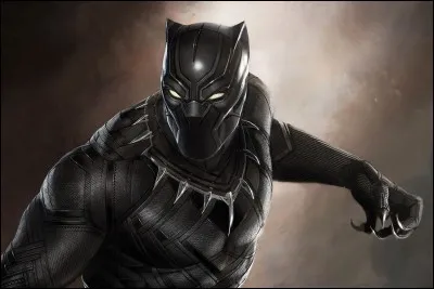 Quel est le pays de Black Panther ?