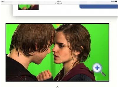 Comment s'appelle le couple Ron et Hermione ?