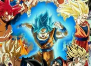 Quiz Quiz Dragon Ball Super (DBS)