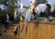 Quiz Equitation - Obstacles de cross