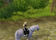 Quiz Star Stable Online (SSO)