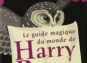 Test Es-tu un sorcier de ''Harry Potter'' ?