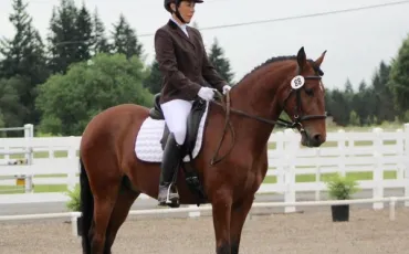 Quiz Equitation