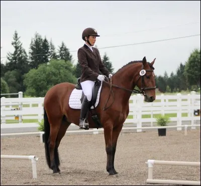 Comment appelle-t-on le sport où l'on fait du cheval ?