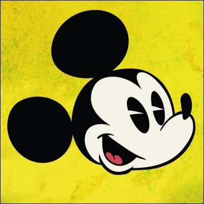 Qui est Mickey ?