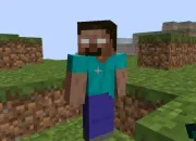 Quiz Minecraft le connais-tu ?