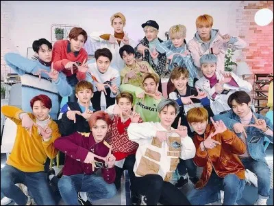 Combien de sous-unités possède NCT ?