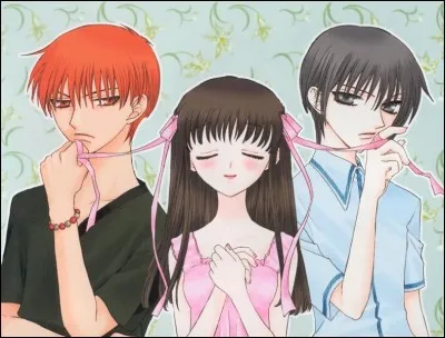 D'après toi, qui de Yuki ou Kyo va le mieux avec Tohru ?