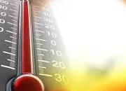 Quiz La canicule : vrai ou faux ?