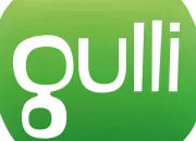 Test Quel programme de Gulli est fait pour toi ?