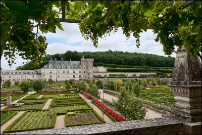 Aimez-vous les châteaux de Touraine ?