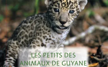 Quiz Animaux