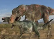 Test Dinosaures