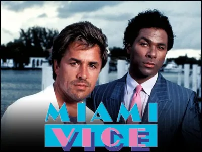 Quelle guest star de "Deux flics à Miami" était mariée à Don Johnson ?