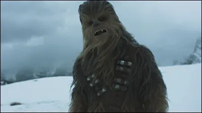 Si tu es un Wookie, tu t'exprimes...