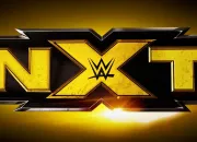 Quiz Wwe nxt (2010-2019)