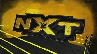 Quelle est la date de diffusion de WWE NXT ?