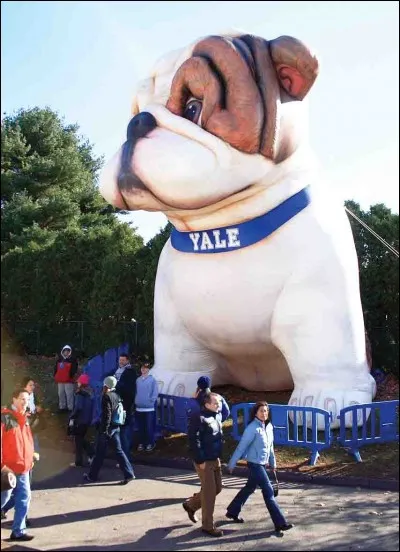 Handsome Dan, la mascotte de l'université de Yale, est un ...