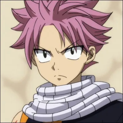 Quel est le nom de famille de Natsu ?