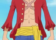 Quiz Connais-tu bien Luffy ?