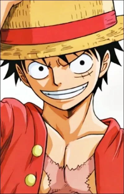 Quel est le nom entier de Luffy ?