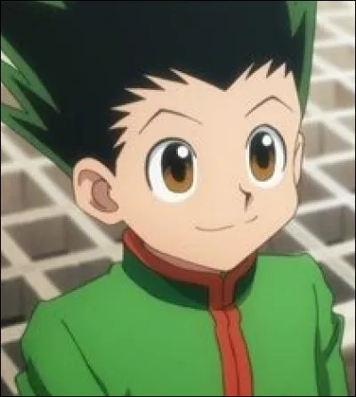 Quel est le nom de famille de Gon ?