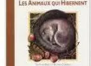 Quiz Les animaux en hiver