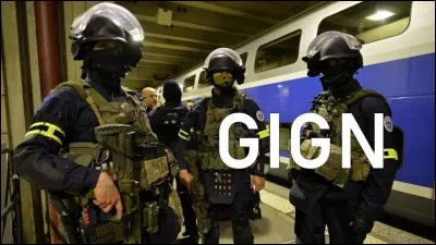 Qu'est-ce que le G.I.G.N ?