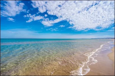 Qu'aimes-tu faire à la plage ?