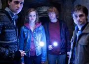 Test Dans quelle maison ''Harry Potter'' es-tu ?