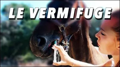 Combien de fois par an doit-on vermifuger un cheval ?