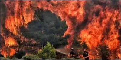 Les pompiers luttaient pour éteindre les feux de forêt sur l'île d'Eubée. Dans quel pays est-ce ?