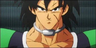 Broly est le frère jumeau de Yamcha.