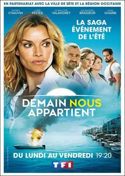 Quand a été diffusé le premier épisode de la série sur TF1 ?