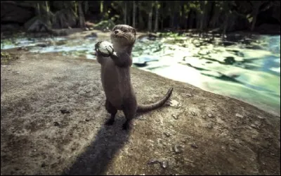 A quoi sert la loutre ?