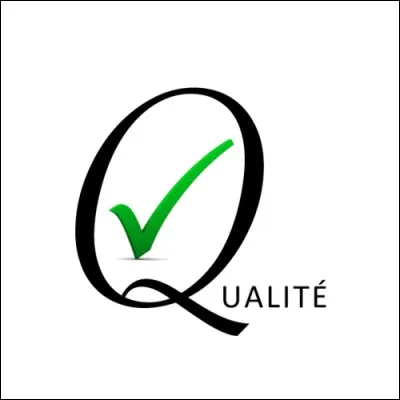 Quelle est ta plus grande qualité ?