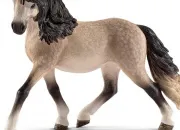 Quiz Races de chevaux Schleich