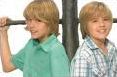 Quiz Zack et cody