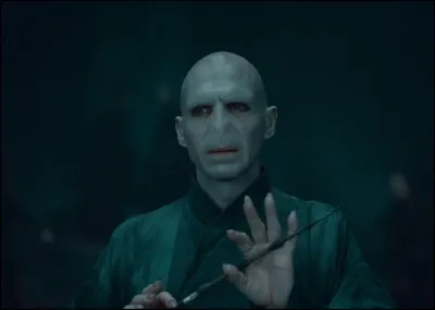 "Me revoilà, après tant d'années je vais enfin pouvoir me débarrasser de ce maudit bébé ... !"
De qui parle Voldemort ?