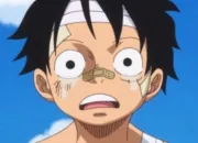 Quiz One Piece