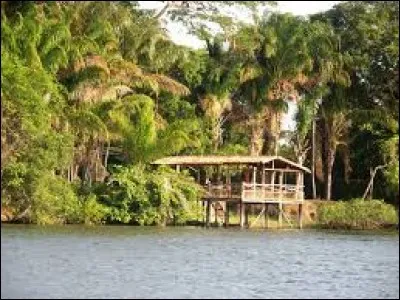 Tu voulais partir en voyage aux Caraïbes sauf que ton bateau a coulé et tu es le seul survivant. Tu es arrivé sur une île mystérieuse de l'Amazonie ! Que fais-tu ?